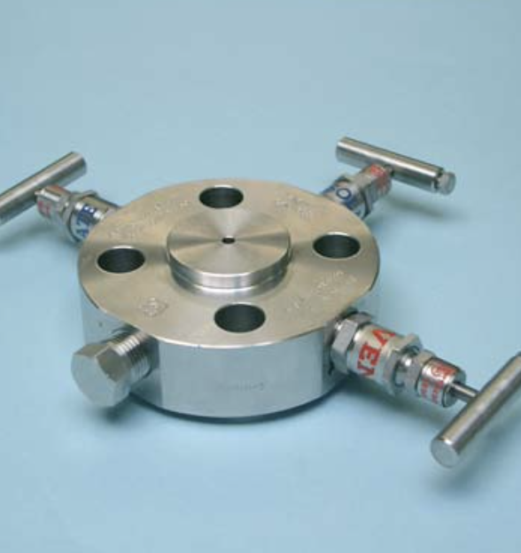 Double Block & Bleed Valve